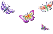 motyli1.gif